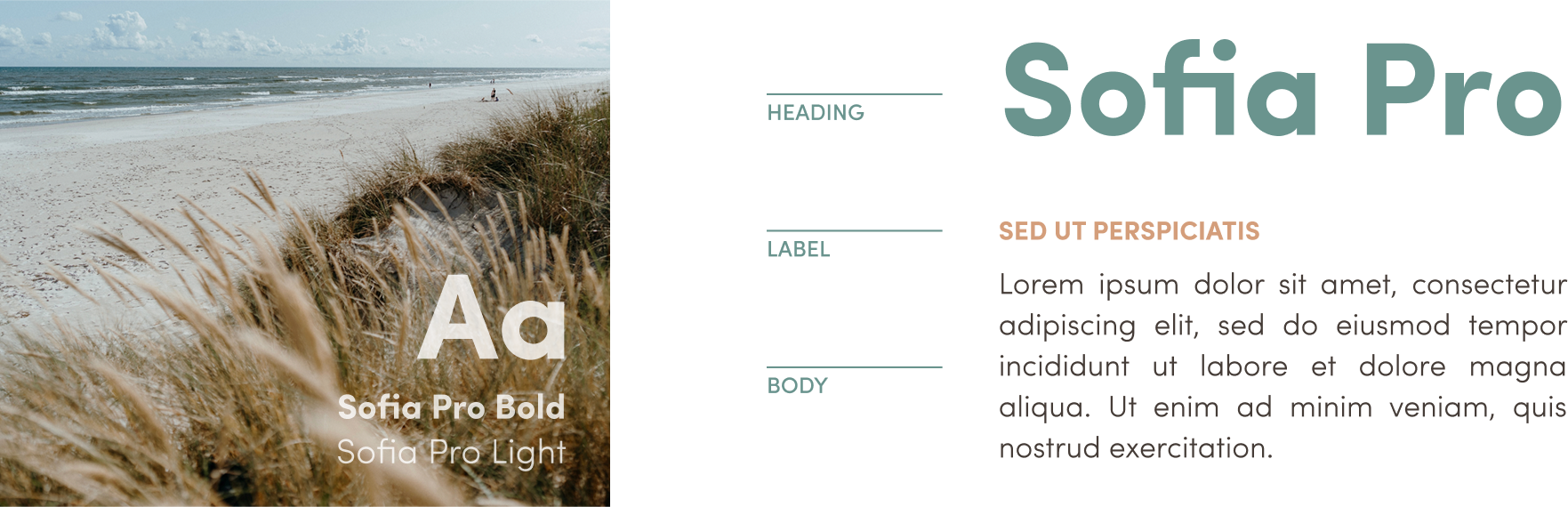 suztain-typography