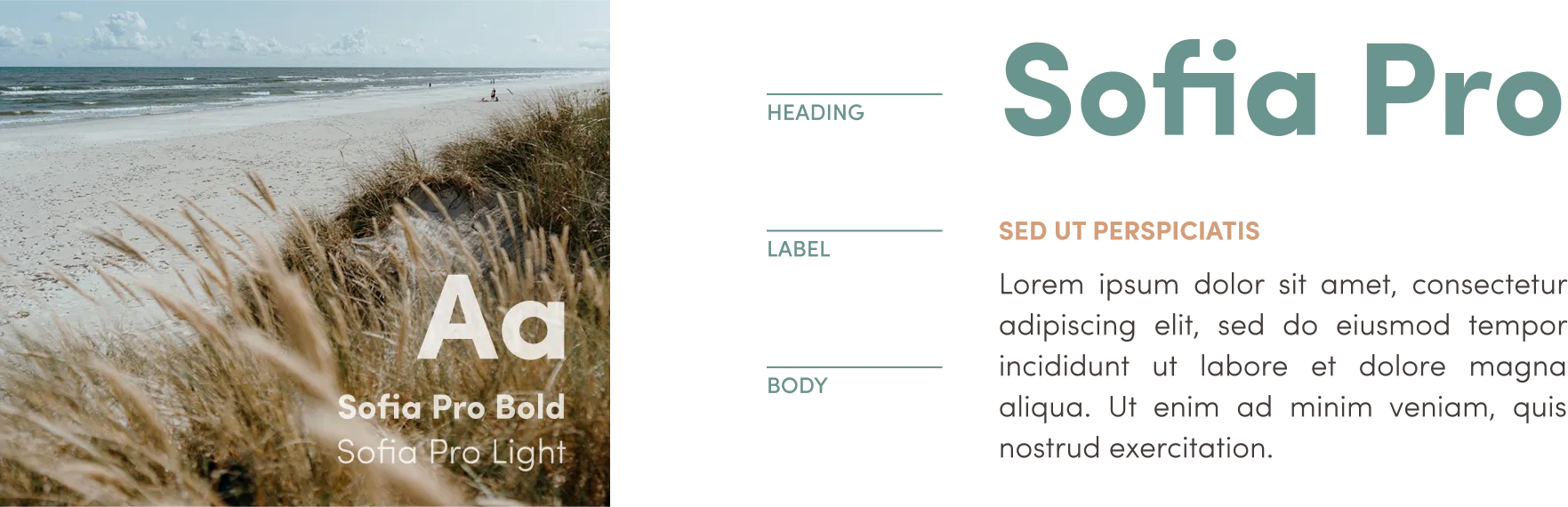 suztain-typography